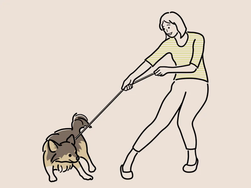 ISFP和ENFP男（浅析两种性格类型）