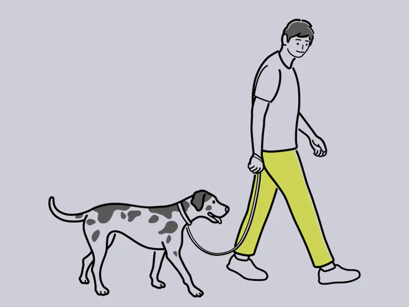 恐惧型依恋enfj（解析恐惧与自我成长）