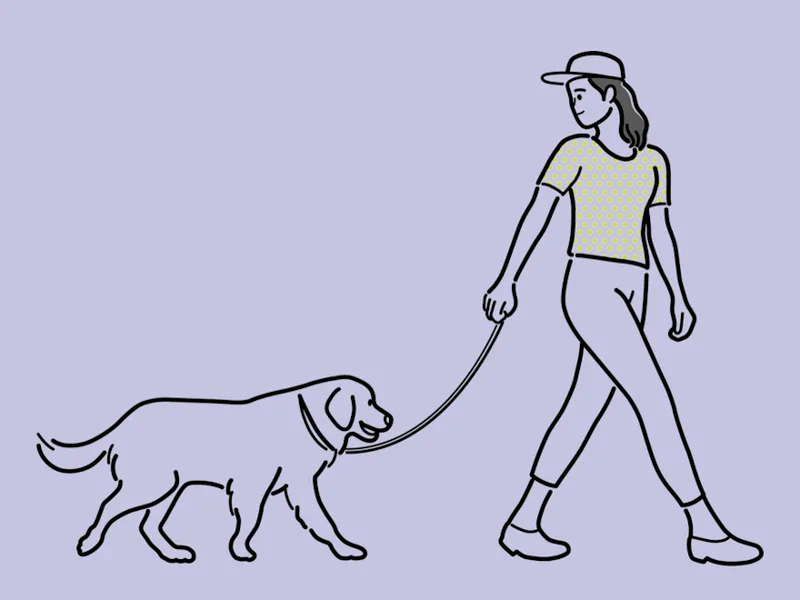 Isfp适合什么类型的对象（共情型和热情型性格）