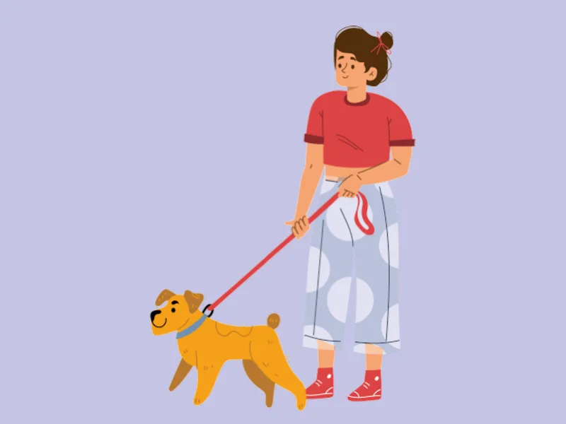 INTJ经历了什么（探索内心的旅程）