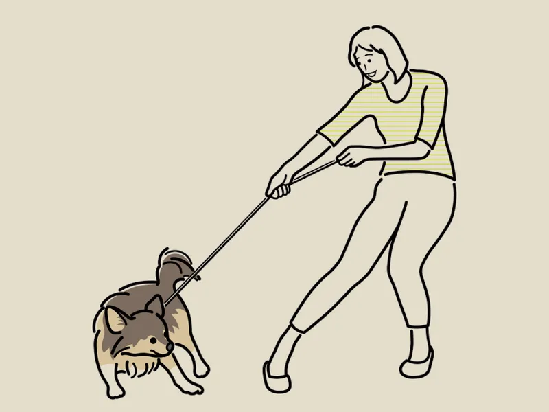 estp型人格女生很坏吗（探究一下这个类型的真实面貌）