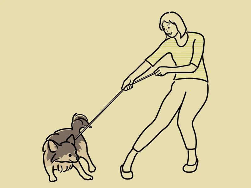 ISTP ESTP（掌握这两种人格类型并发挥其潜力）