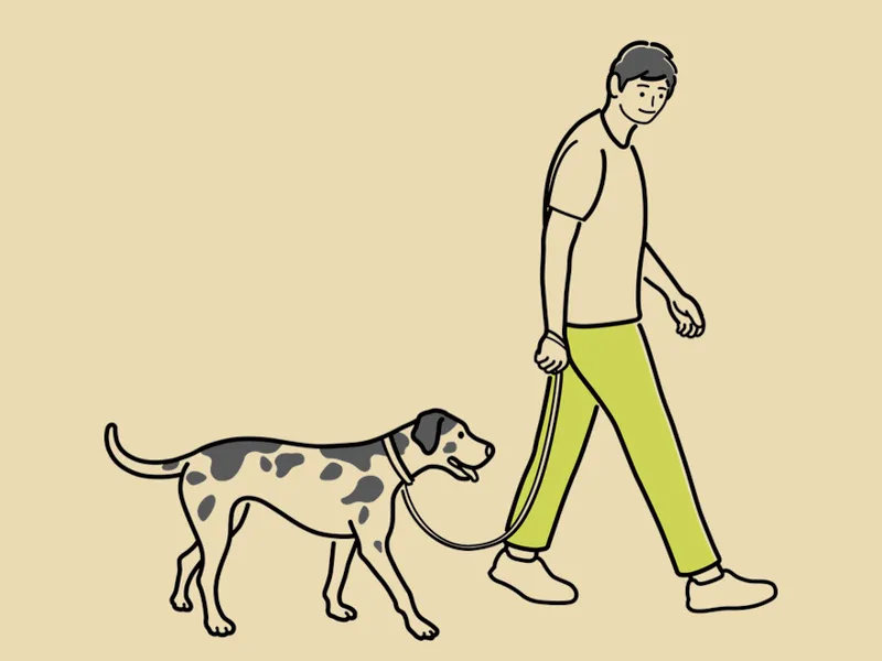 ESFP和ENTP名字（甜蜜与冒险）