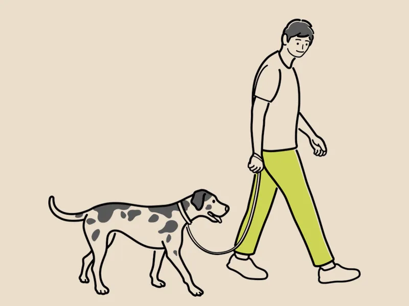 isfp型人格是几重人格