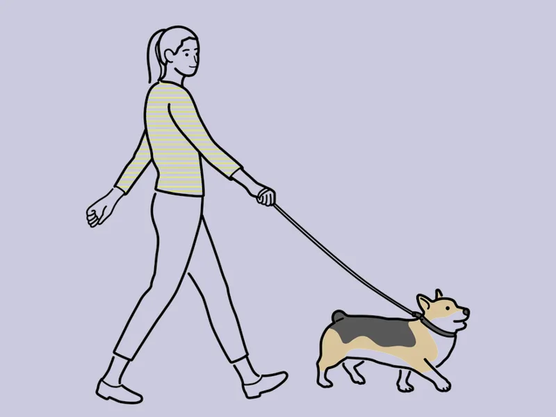 ISFP-A人格朋友（温柔与创造的创新者）