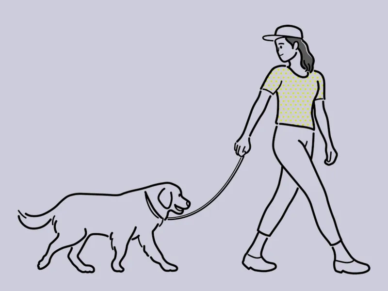 ISTP和ENFP横跳（性格类型的如何转换）