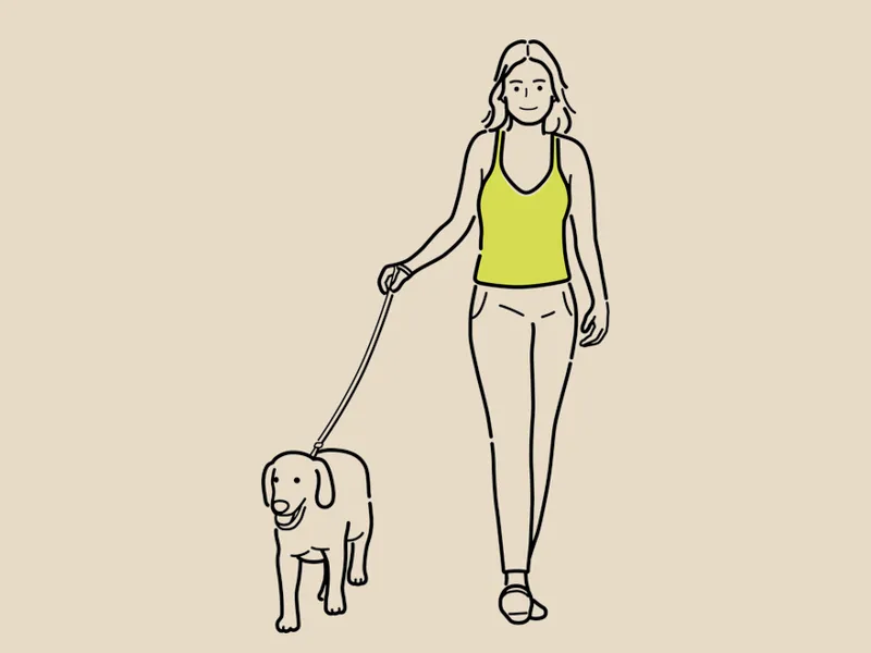 istp都在做啥工作好（探究）